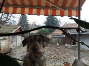 image-36796347e7bf9d27a451163fb803aad24bac7f67089e2485ed369cea3be1e756-V